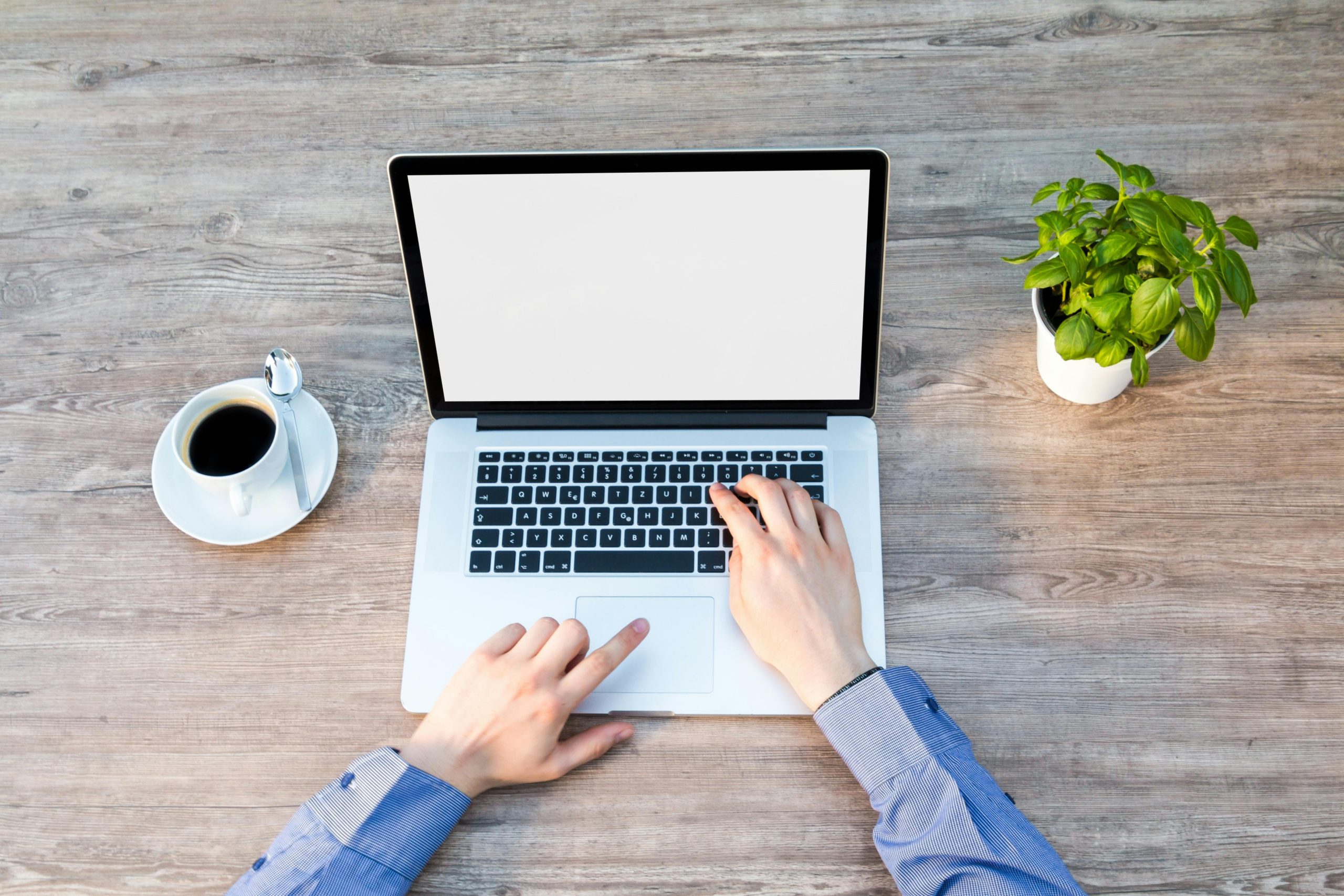 Freelancer using laptop surrounded by sticky notes showing financial organization tools like contracts and publishing insurance policies