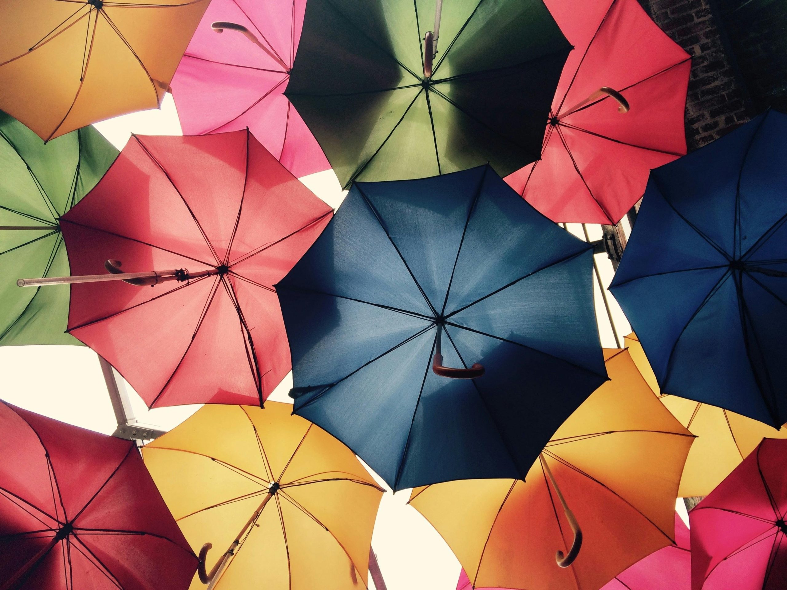 Meme-style image encouraging publishers to invest in insurance with text 'Protect Yo' Brand' overlaid